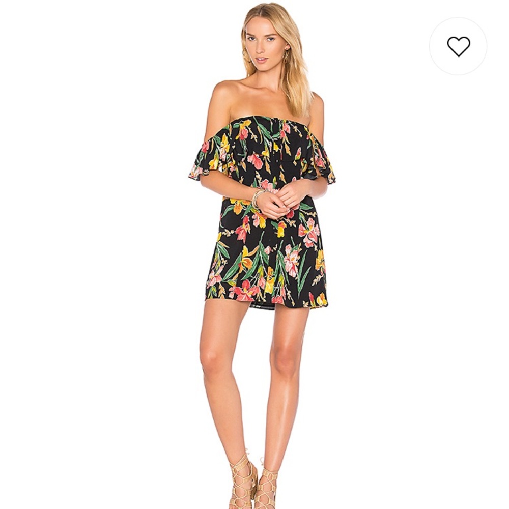 Privacy Please Norval Dress from Revolve